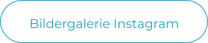 Bildergalerie Instagram