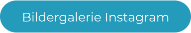 Bildergalerie Instagram